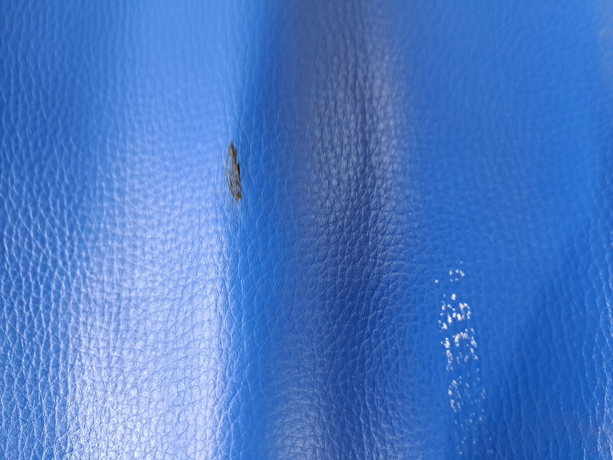 TM Seatcover (Light blue) small stain