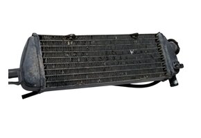 TM Radiator #23005