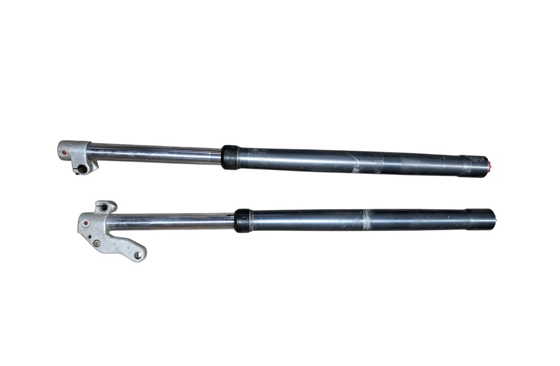 TM WP Fork 1990