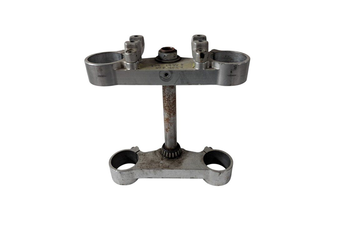 TM Triple clamps 54mm / 54mm WP Fork ?