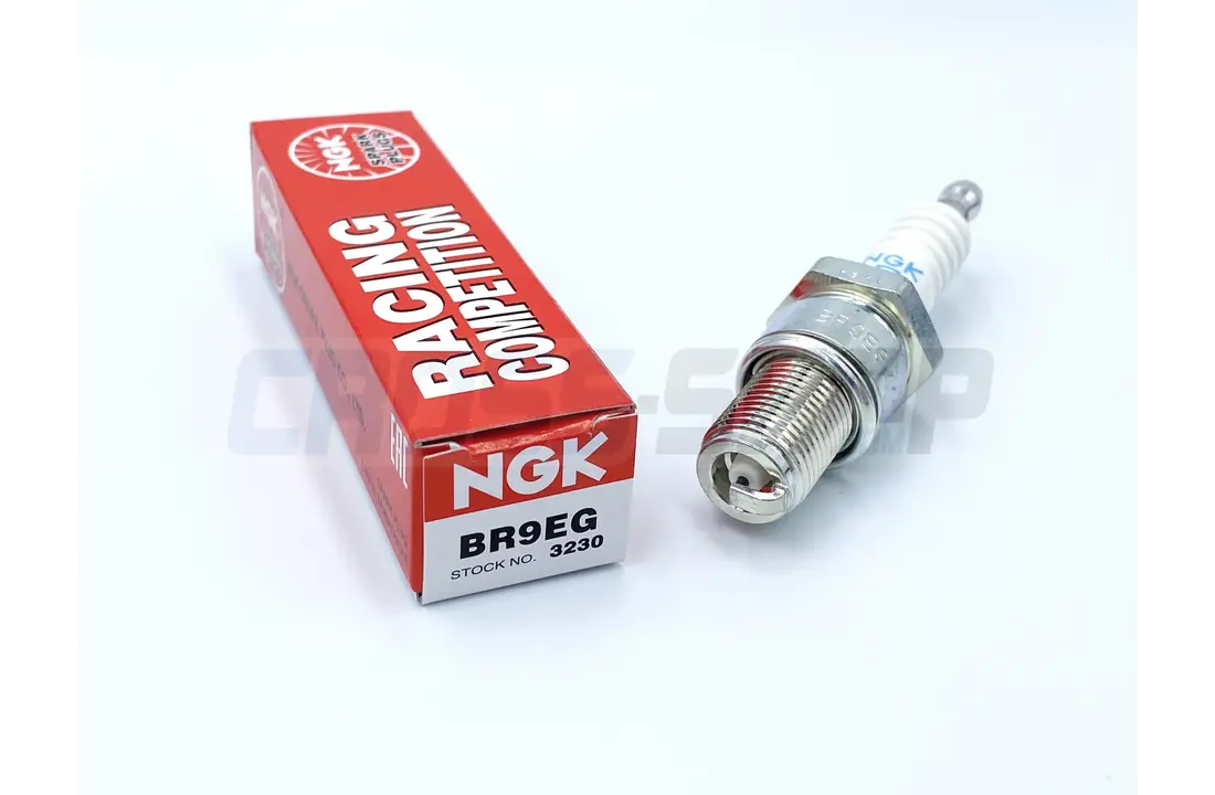 SPARK PLUG, NGK BR9EG