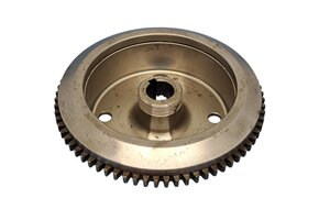 Polrad TM 250/300 19-> mit extra Gewicht