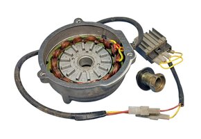 Enduro 250/300 Lichtmaschine komplett + Regler