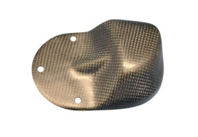 LS CARBON Fuel Pump protection 2015->