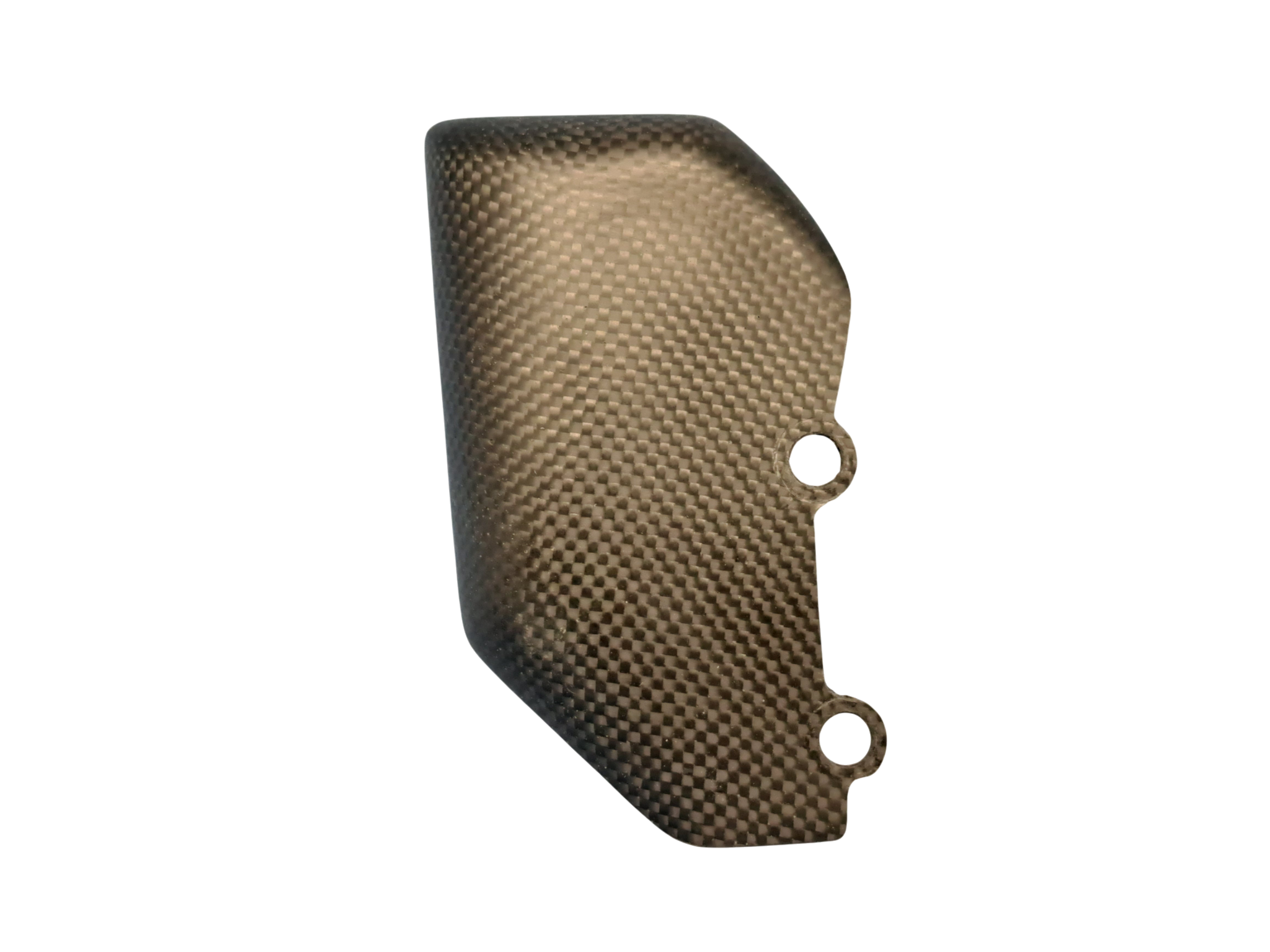 LS CARBON Rear brake master cylinder Protector 2008->