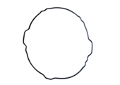 O RING SAGOMATO COP. FRIZIONE 125 FI 2T 2025
