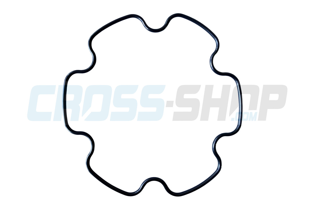 O RING PREFORMATO CIL.125 MY 2025