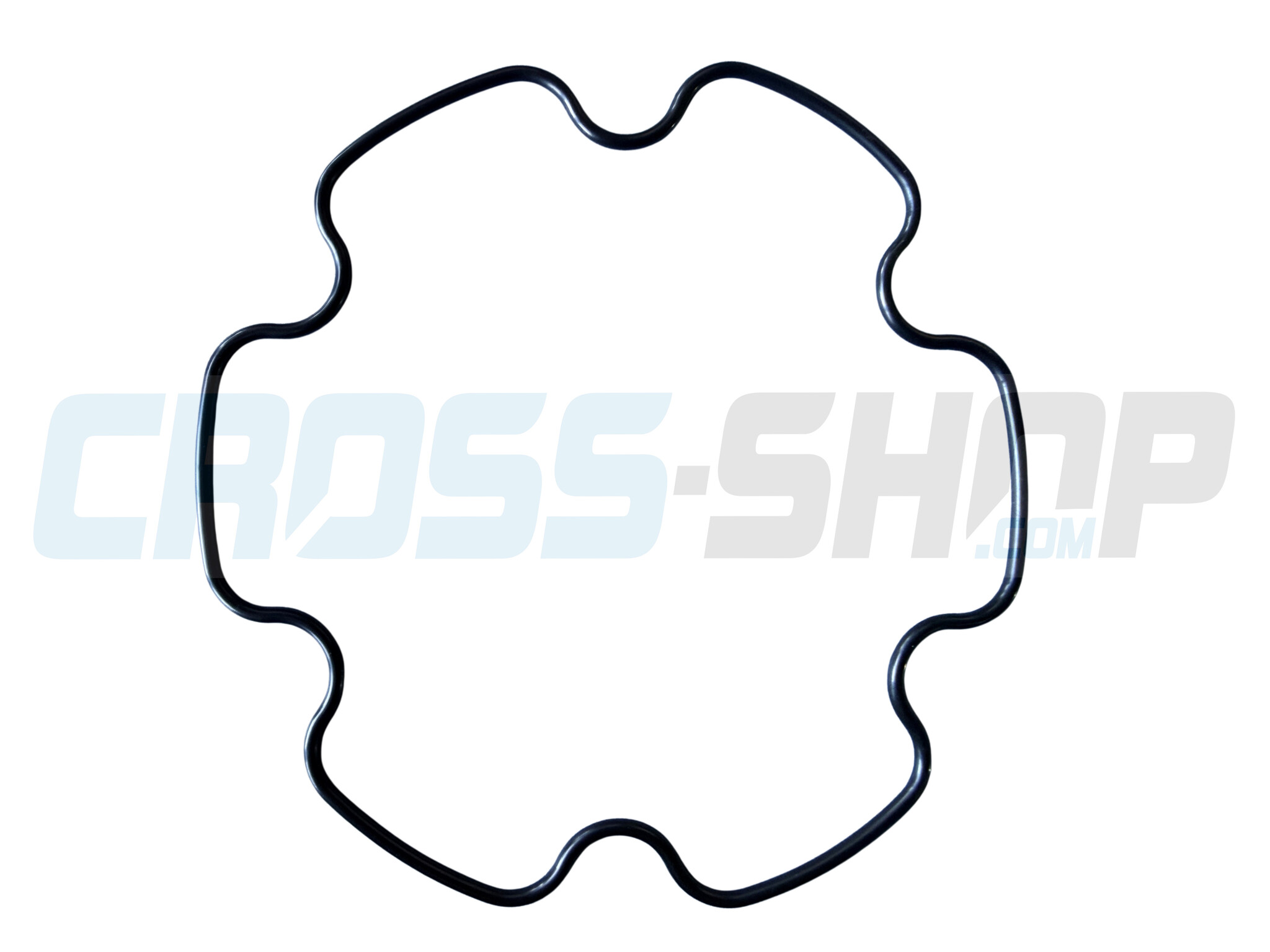 O RING PREFORMATO CIL.125 MY 2025