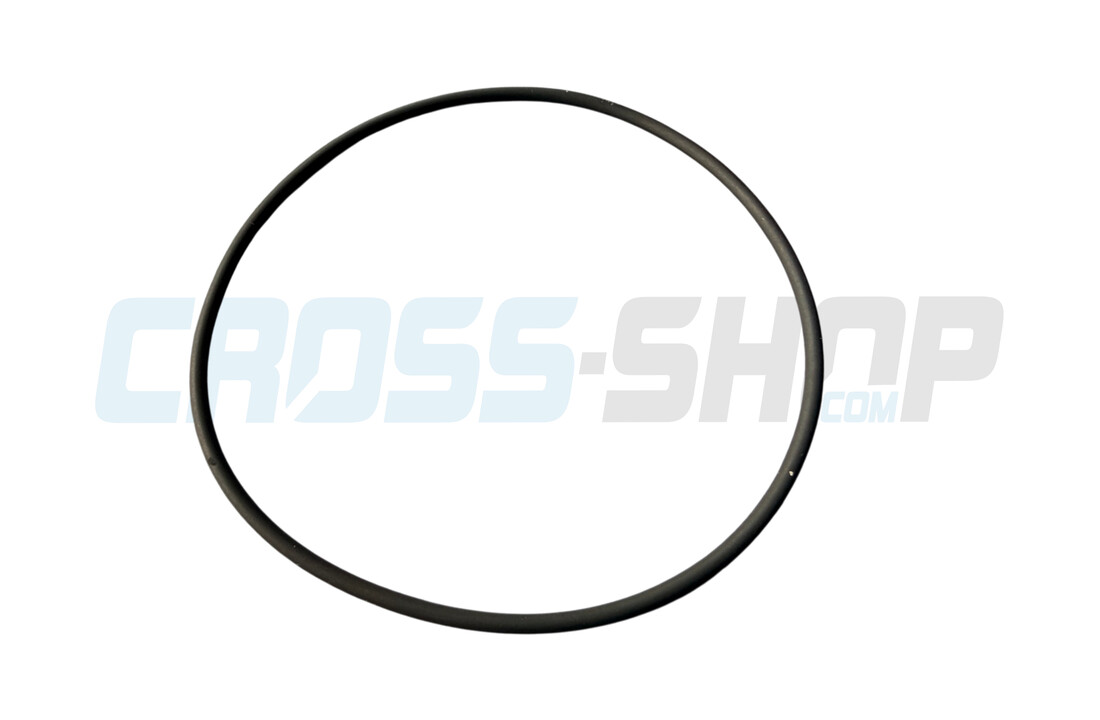 O RING CONVOGLIATORE 125 13086