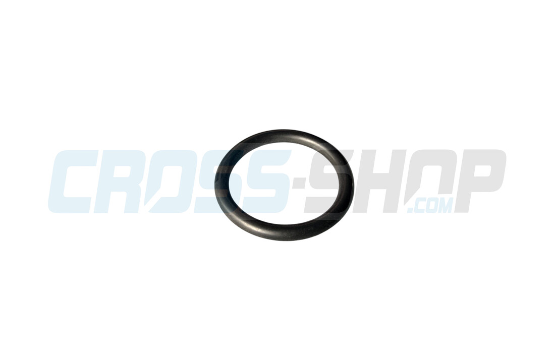 O RING ORM 0220-30 22,0X3,0