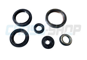OIL SEAL KIT 125 ES MY 2025->