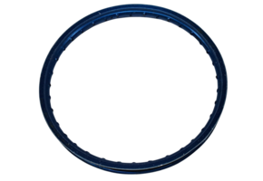 EXCEL Rim 1.60x21"   roosted