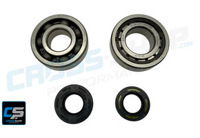 CSP - Crankshaft Bearing Kit TM 125cc 2013-2014