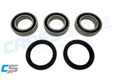 CSP - Rear wheel bearing + seal kit TM 2015->….