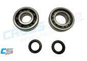 CSP - Crankshaft Bearing Kit TM 144cc 2019-2026