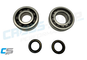 CSP - Crankshaft Bearing Kit TM 144cc 2019-2026