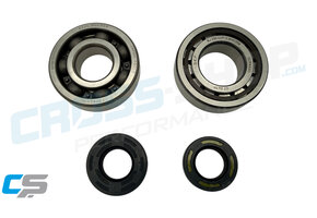 CSP - Crankshaft Bearing Kit TM 125cc 2013-2014