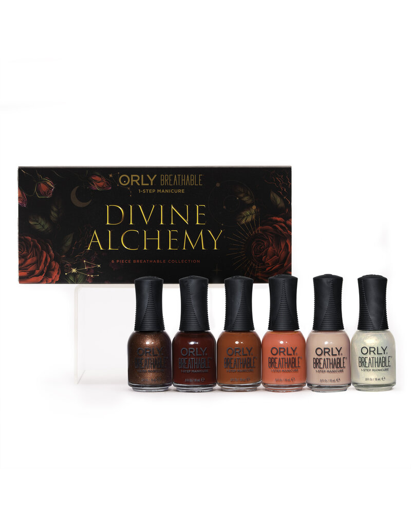 ORLY Reddy Or Not
