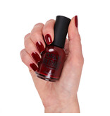 ORLY Reddy Or Not