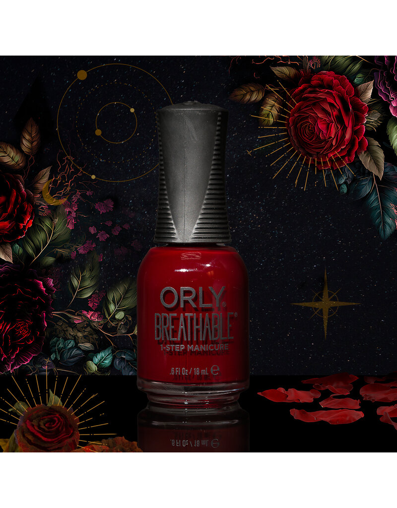 ORLY Reddy Or Not