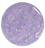 ORLY Rollin with My Homies