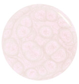ORLY Opal Of My Eye