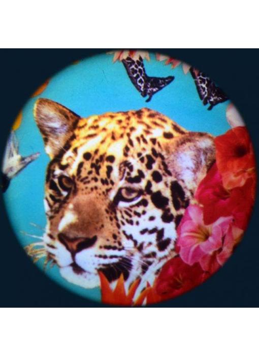 Magnetisch 6" Effectwiel thema: Safari