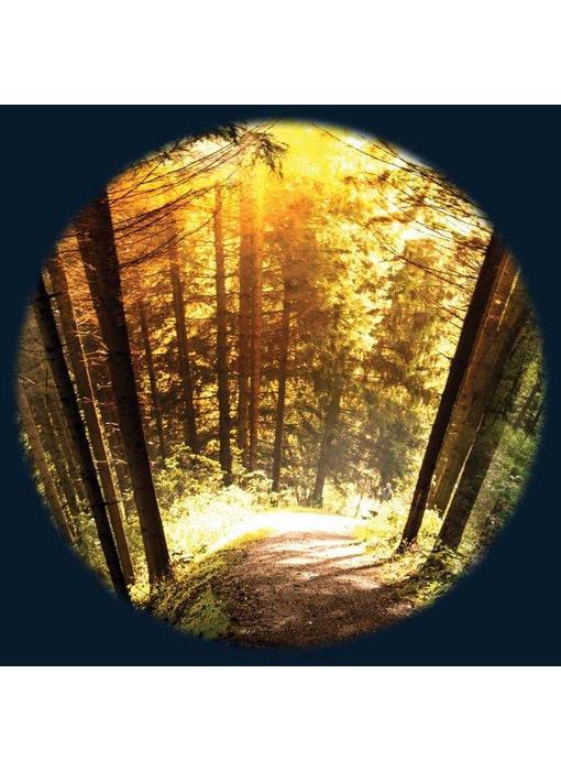 Magnetisch 6" Effectwiel thema: Seasoned Woods