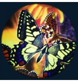OPTIkinetics Magnetisch 6" Effectwiel thema: Butterflies