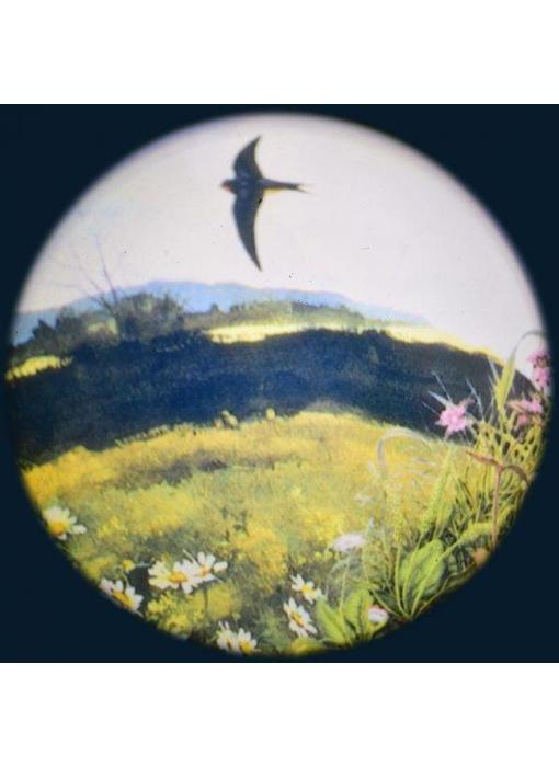 Magnetisch 6" Effectwiel thema: In The Country