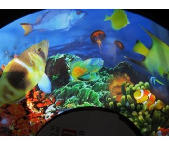 Effectwiel beeld FG7263 Tropical Fish