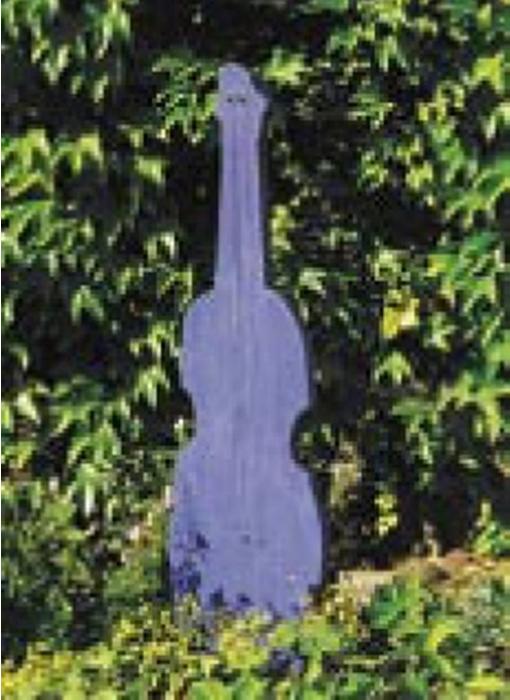 Cello met toverachtige geluiden