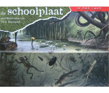 Boek De Schoolplaat - In ons land