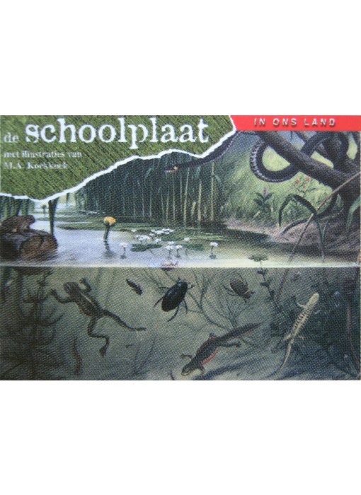 Boek De Schoolplaat - In ons land