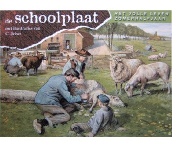 Boek De Schoolplaat - Zomerhalfjaar
