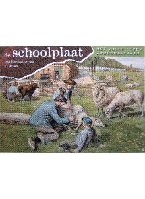 Boek De Schoolplaat - Zomerhalfjaar