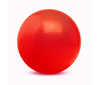 Gymnic Physio-ball rood