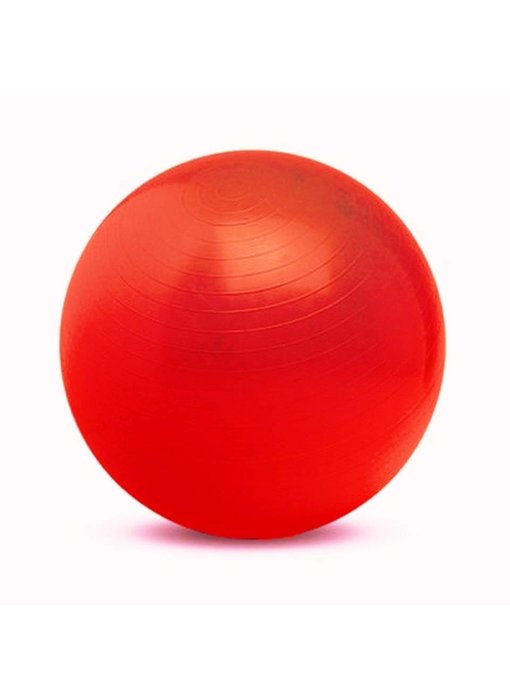 Gymnic Physio-ball rood