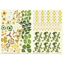 Twin Pack Flowerart, giallo
