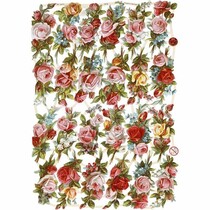 Scrap with beautiful print motif