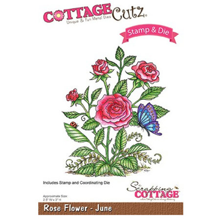 Cottage Cutz NUEVO estampado el sello de la plantilla +: Flor