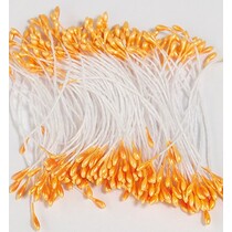 Stamen, in orange