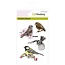 Crealies und CraftEmotions selos transparentes: Birds