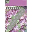 Joy!Crafts Stanzschablonen: Blumen Bordüre