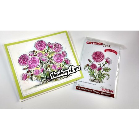 Cottage Cutz NEU Stanzschablone + Stempel: Flower