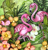 Heartfelt Creations aus USA a última coleção: Paraíso Tropical