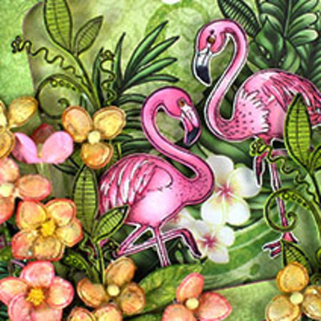 Heartfelt Creations aus USA a última coleção: Paraíso Tropical