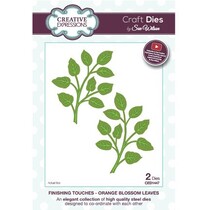 dies: coupe une des branches avec des feuilles et un dans le miroir