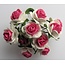 BLUMEN (MINI) UND ACCESOIRES Mulberry florets, 10 Blossom