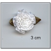 10 Satijnröschen 3 centimetri